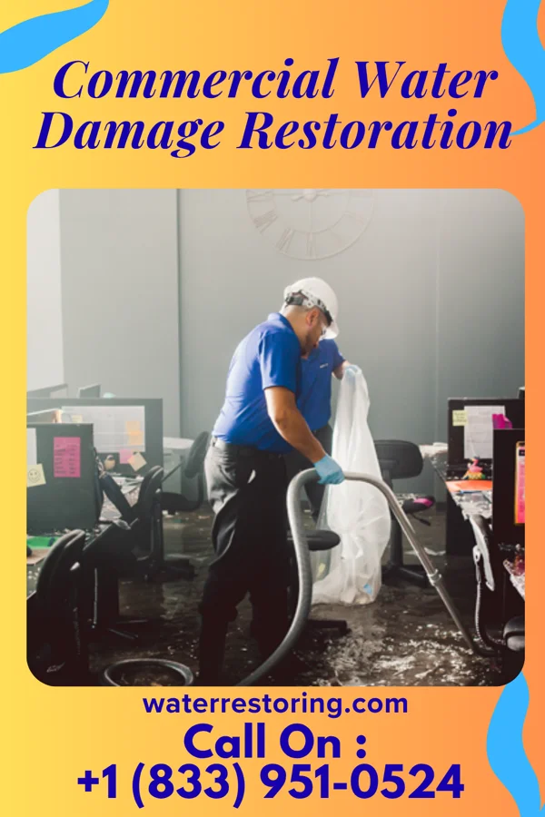 Commercial Water Damage Restoration in Elk Ridge, UT