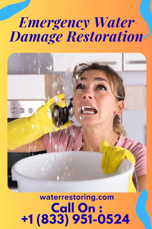 Emergency Water Damage Restoration in Elk Ridge, UT