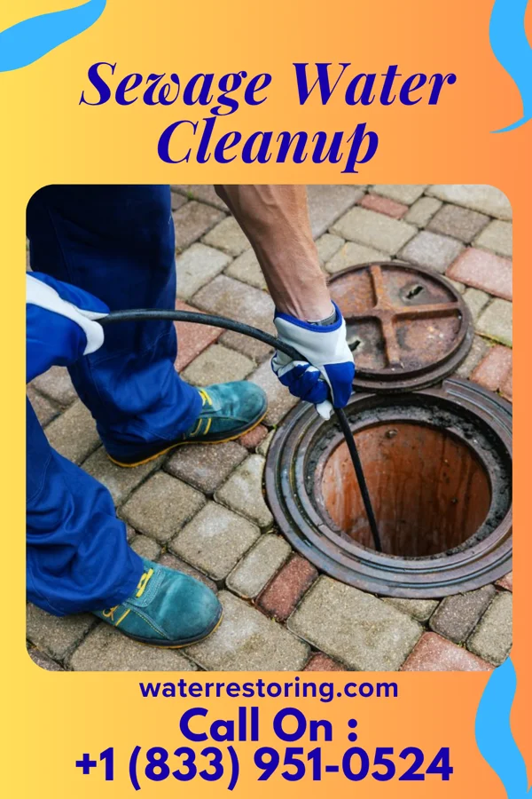 Sewage Water Cleanup in Elk Ridge, UT